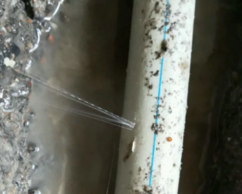 金堂卫生间测漏水多少钱