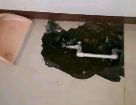金堂卫生间测漏水多少钱